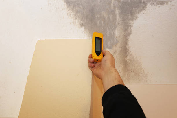 Best Post-Remediation Verification Testing  in Woodlynne, NJ