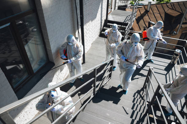 Best Airborne Mold Testing  in Woodlynne, NJ