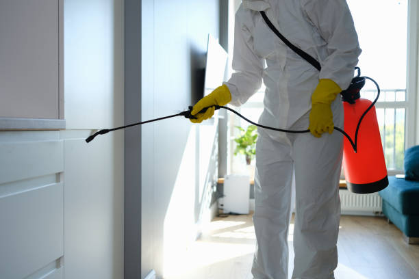 Best Biohazard Mold Removal  in Woodlynne, NJ
