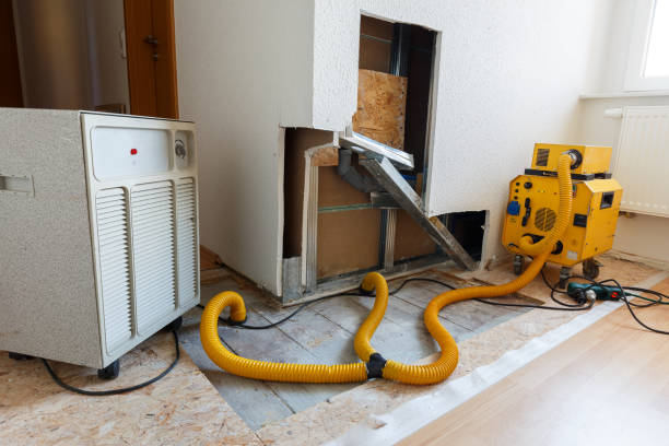 Best Mold Remediation for Healthcare Facilities  in Woodlynne, NJ