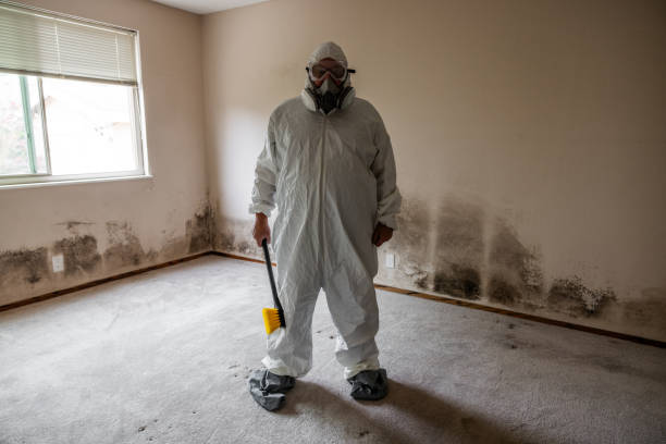 Best Mold Odor Removal Services  in Woodlynne, NJ